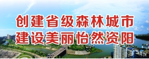 插女人98视频播放创建省级森林城市 建设美丽怡然资阳